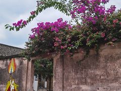 -金谷域澳洲庄园