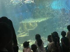 -嘉兴海底世界