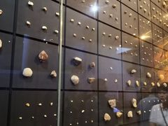 -北京周口店北京人遗址博物馆