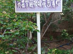 -太阳宫公园
