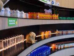 -涨巢·潮玩水疗局