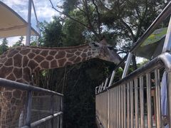 -泉州海丝野生动物世界