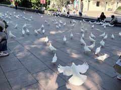 -人民公园-相亲角