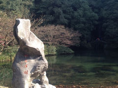 九溪烟树-九溪烟树