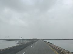 -碧海金沙