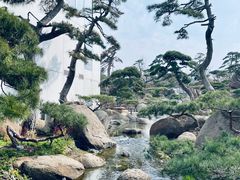 -罗红摄影艺术馆