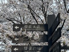 -南山植物园