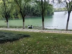 -天鹅湖体育公园