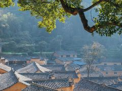 -杨家堂村