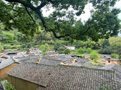 -杨家堂村