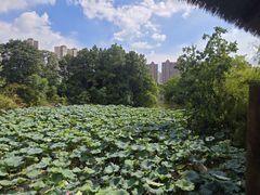 -南昌动物园