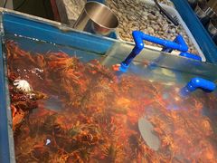 -星伦多自助料理(华润万象城店)