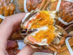 -品鲜村农家菜·阳澄湖大闸蟹(总店)
