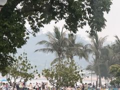 -野狸岛
