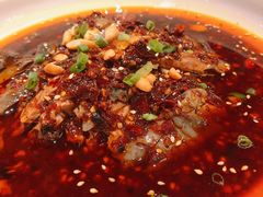 -铁公鸡·四川料理(天环广场店)