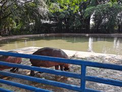-广州长隆飞鸟乐园