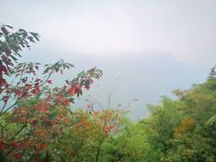 -藏龙百瀑风景区