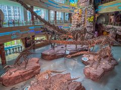 -安徽省地质博物馆