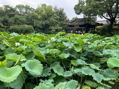 -绍兴鲁迅故里·沈园景区