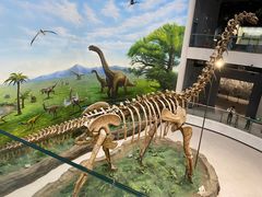 -辽宁古生物博物馆