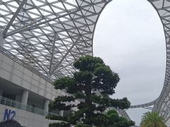 -重庆国际会议展览中心