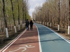 -绥化市森林植物园
