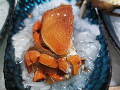 -海鼎荟海鲜姿造(仟禧汇店)