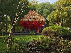 -狼山风景名胜区