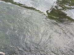 -桂林兴坪漓江