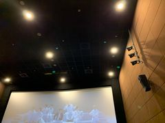 -SFC上影影城(港汇永华IMAX激光店)