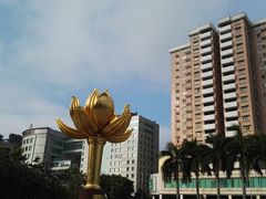 -金莲花广场