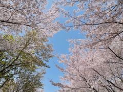 -白塘生态植物园