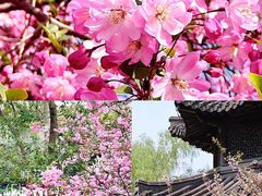 -大鹏饭店·金陵家宴(奥体中心店)