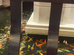 -龙悦湾酒家·八阵鱼生·渔人码头店