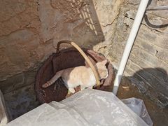 -梁家河村红色旅游区