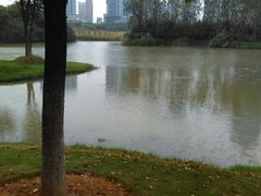 -艾溪湖湿地公园