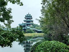 -桂湖森林公园