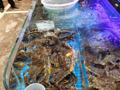水产区-新海渔港·胶东海鲜家常菜·家宴(奥体中心店)