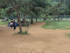 -秦皇岛野生动物园