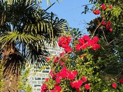 -天鹅湖体育公园