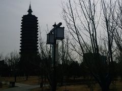 -西海子公园