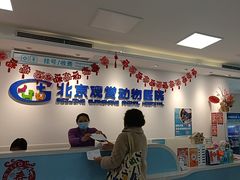 -北京观赏动物医院·24小时大型综合·猫专科·异宠专科