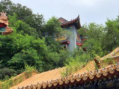 -高尔山公园