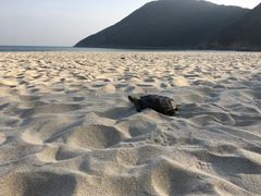 -浪茄湾