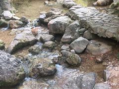 -南海湾森林生态园