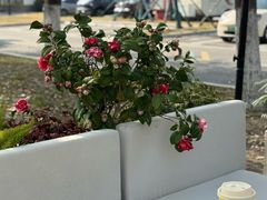 -昆承湖酒家·本帮农家菜