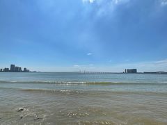 -野狸岛
