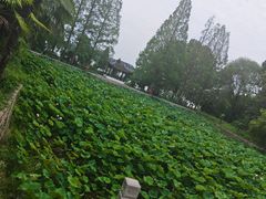 -南湾湖