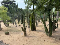 -东莞植物园