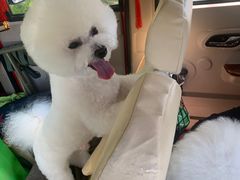 -美联众合动物医院·24h京西诊疗中心